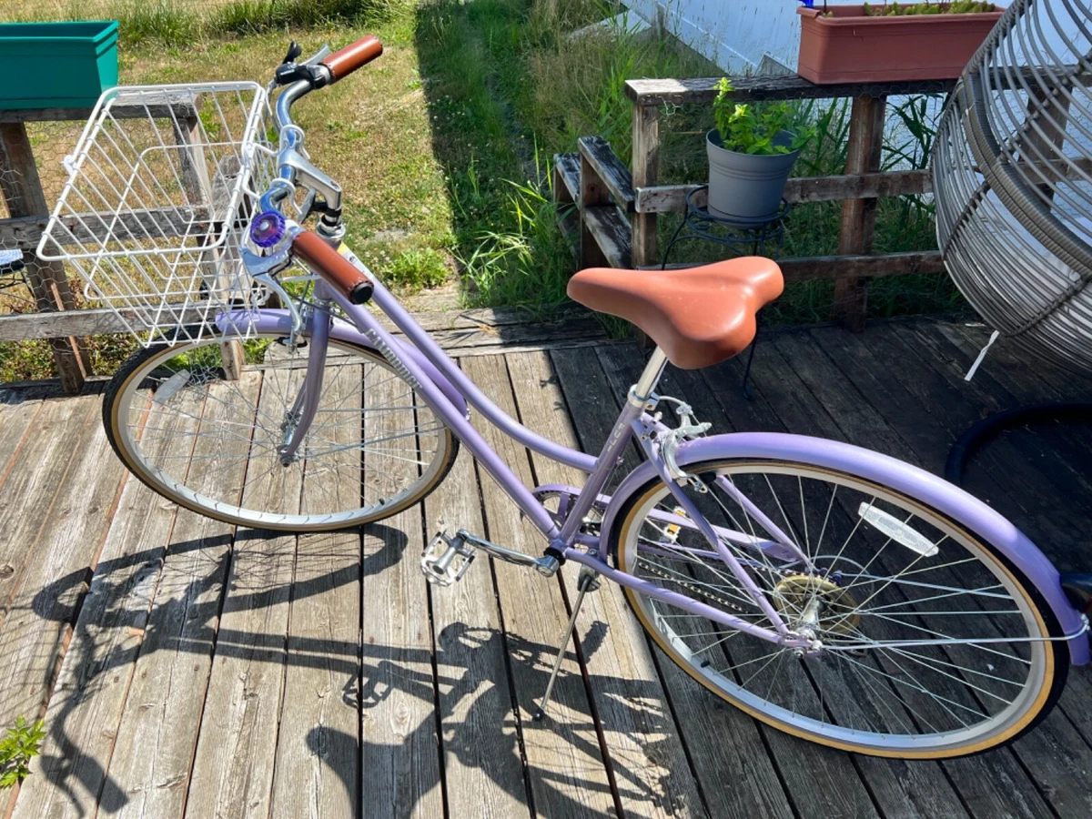 2018 Fuji Cambridge beach cruiser