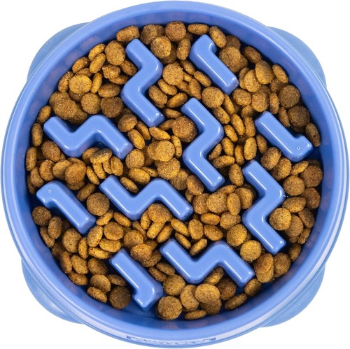 Outward Hound Fun Feeder Slo Bowl, Slow Feeder Dog Bowl, Medium/Mini, Turquoise - Picture 8 of 12