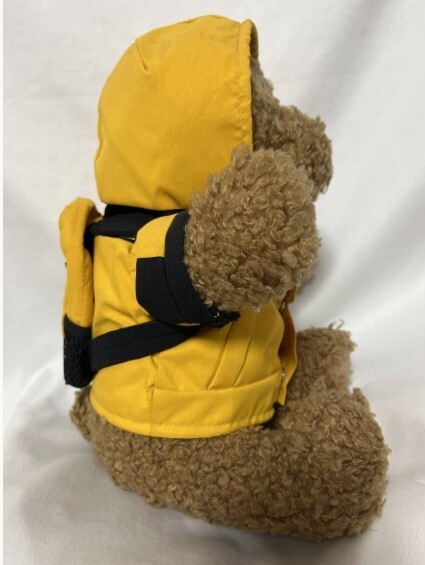 THE NORTH FACE MOUNTAIN JACKET BEAR 90s Not for sale 11.4 THE NORTH FACE MOUNTAIN JACKET BEAR 90s Not for sale 11.4