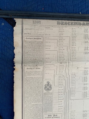 Rare 1598-1858 Genealogical Chart Descendants Of John Read 35” X 52” Pub. 1859 - Picture 4 of 9