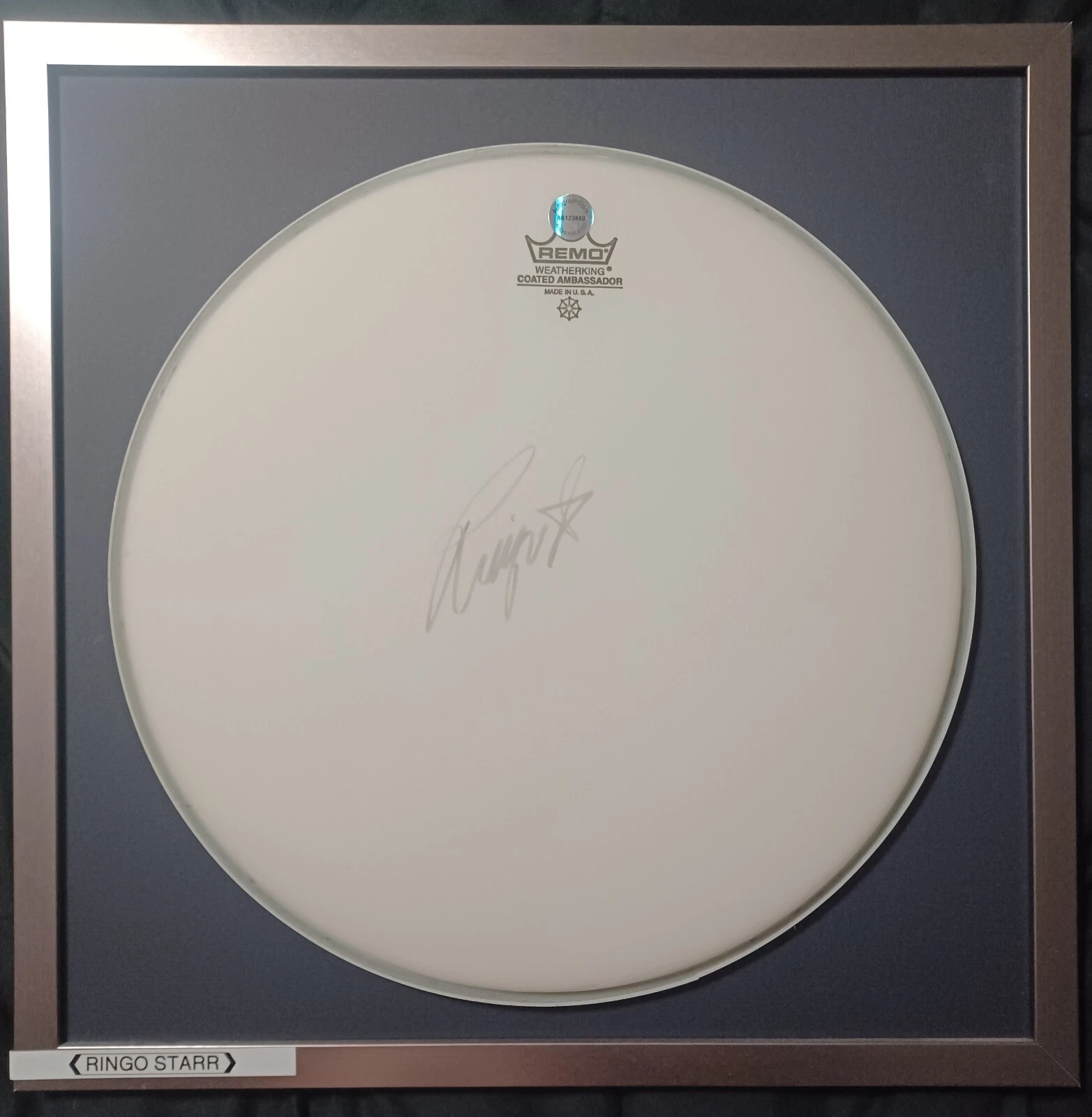 Picture 1 of 11