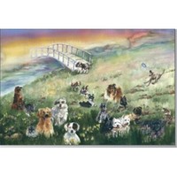 Rainbow Card Company Rb10 Rainbow Bridge Pet Sympathy Cards -10 Pack on sale Rainbow Card Company Rb10 Rainbow Bridge Pet Sympathy Cards -10 Pack on sale