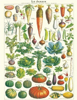 Beautiful Cavallini's Le Jardin, 20'' x 28'' Poster Unframed + Uline Tube