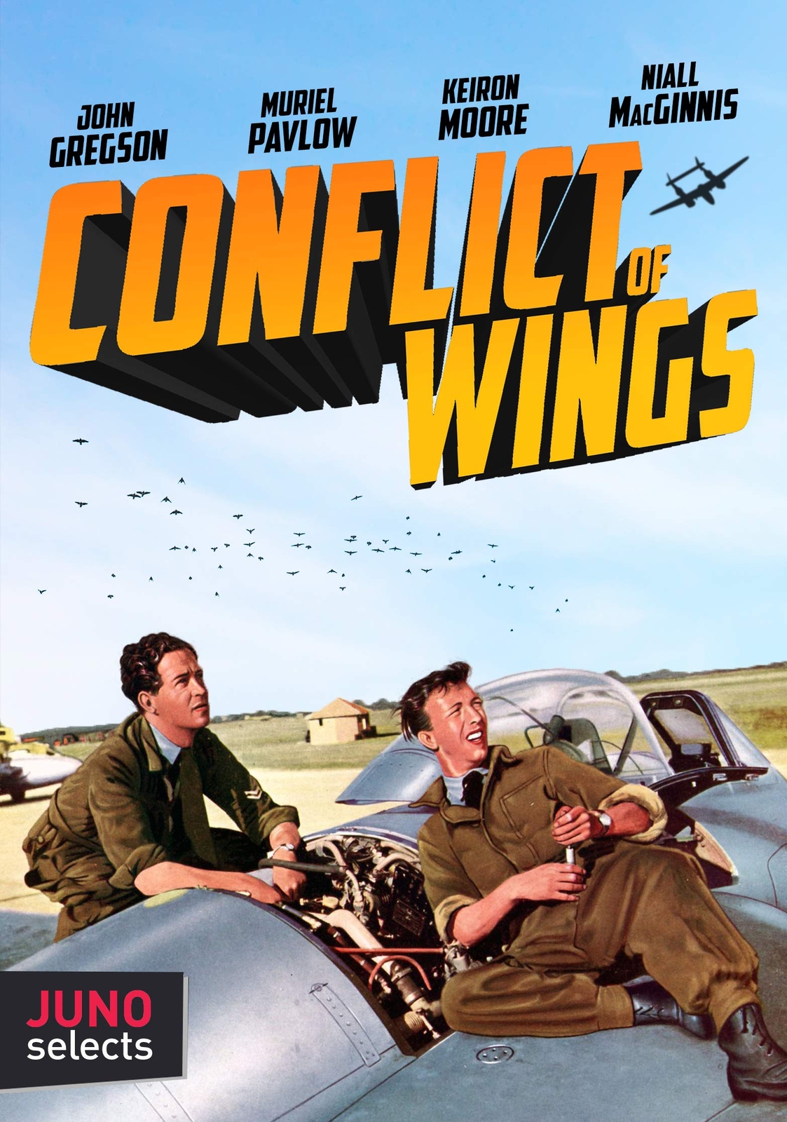 Conflict Of Wings (aka Fuss Over Feathers) (DVD) John Gregson Muriel Pavlow