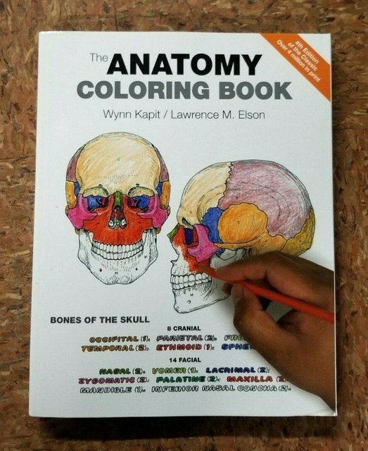 Download The Anatomy Coloring Book by Lawrence M. Elson and Wynn Kapit (Paperback, 4th Edition, 2013) for ...