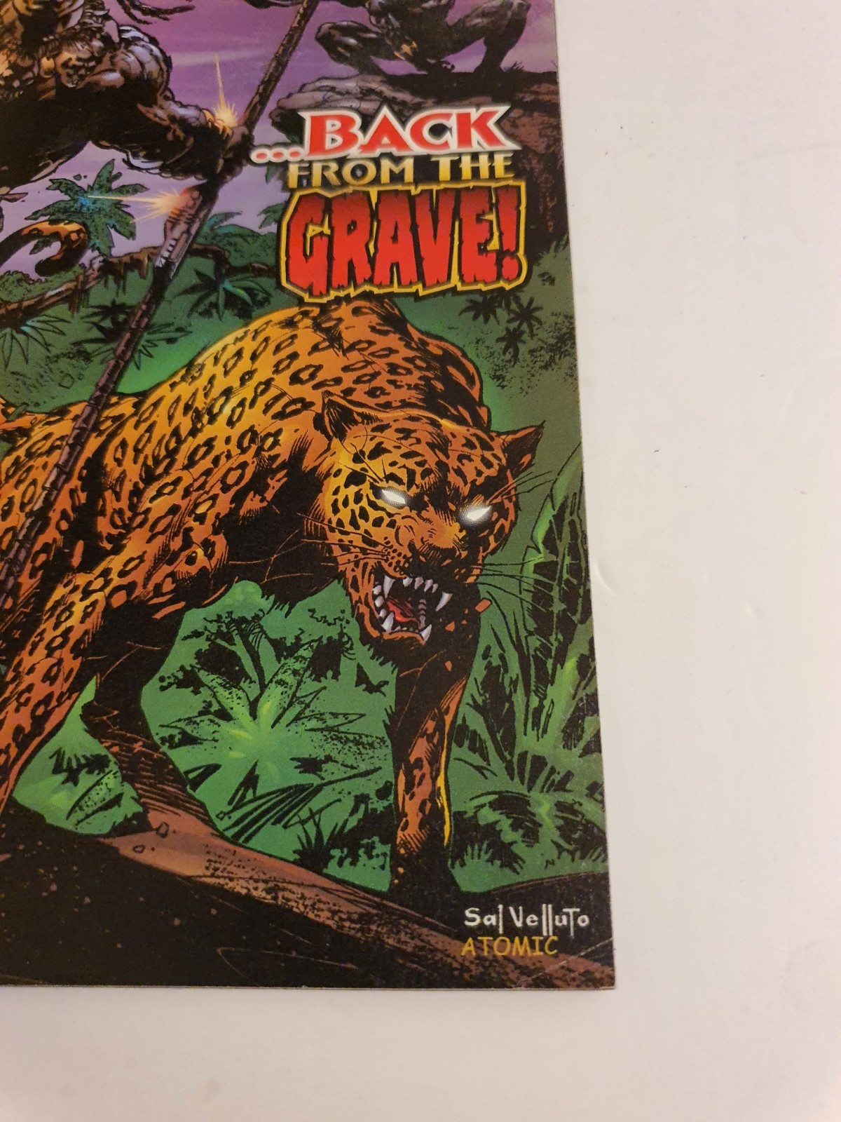 Black Panther #16 Return of Killmonger (2000) DC Priest thumbnail 3