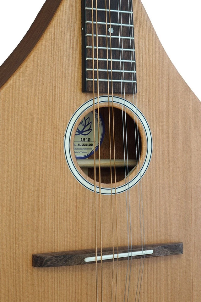 Mandolina Ashbury AM-140, tapa de cedro macizo, cuerpo sólido. De Hobgoblin Music Foto 3 de 4