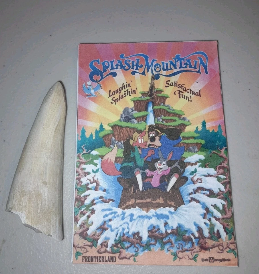 DISNEY WORLD SPLASH MOUNTAIN BRIAR PATCH THORN TIP PROP  - Image 2 of 4