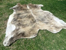 GENUINE! LARGE 6x6 BRINDLE GRAY BEIGE Cowhide Rug natural Cowhides Cow Hide Skin