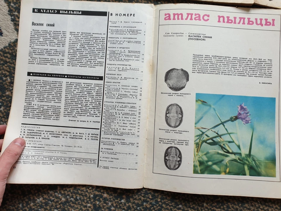 Beekeeping Set of 5x 1973 Soviet Vintage Magazines Russian USSR - Image 3 of 4