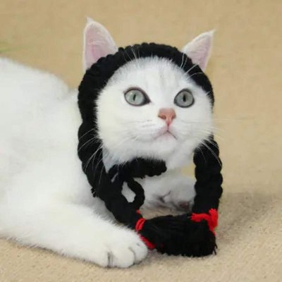 Cat Hat with Braids and Head Accessories - 888