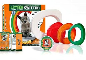teach cat to use toilet