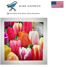 Quality 100 Tulip Bulbs - Random Colors for Sustainable Pollinator Gardens