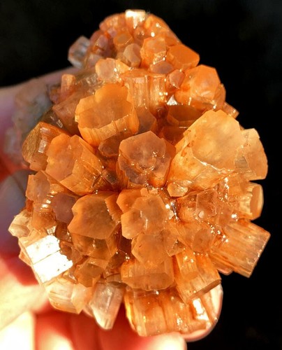 95.8g WOW! Natural Orange Flowery Aragonite Crystal Cluster Specimen ie4956 - Picture 2 of 14