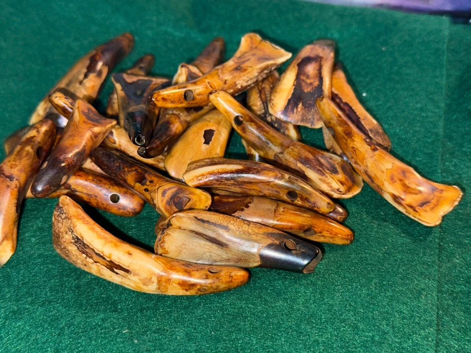 (10) ANTIGUO Original Dientes de Búfalo Sioux Indio Cuentas Ornamentales Comercio de Piel Años 1700 Foto 2 de 4