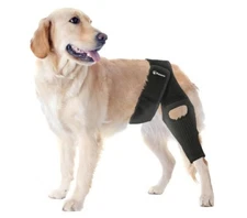 PetCove Dog Knee Brace Torn Acl Hind Leg Neoprene Compression Front/Back -Medium