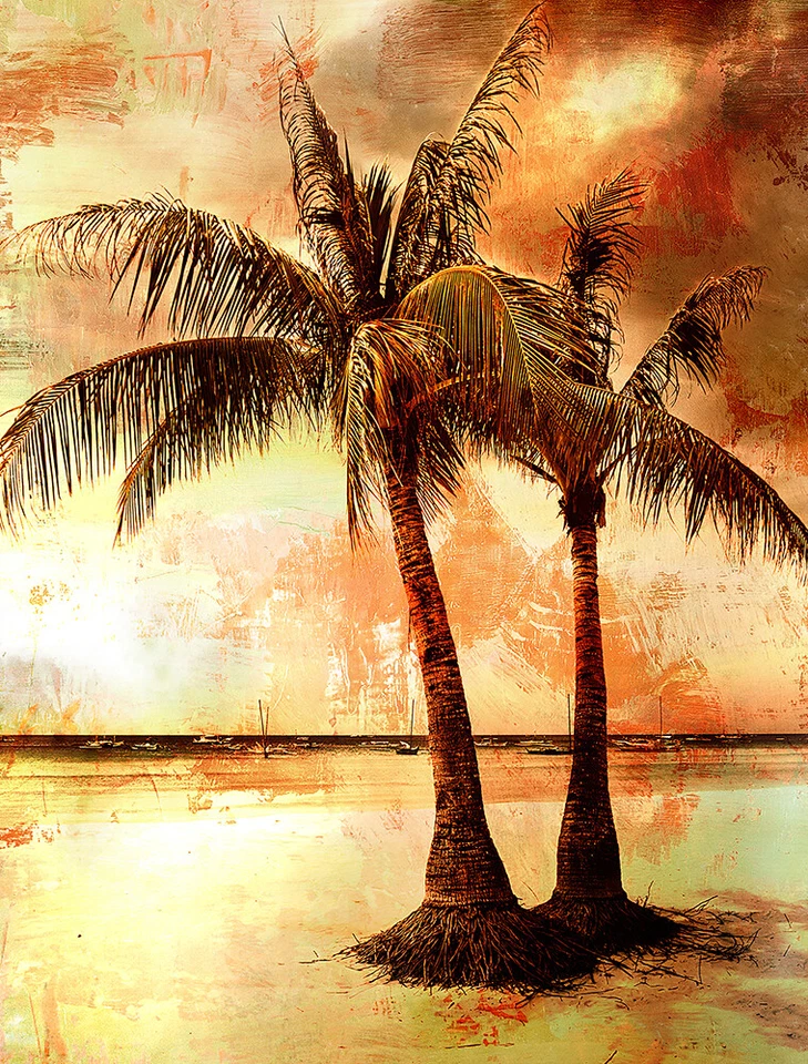 Framed Canvas - Palm Tree Print - Wall decor ready to hang - Landscape Sunset - Image 3 of 4