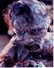 The Fly 8x10 photo #B3108