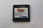 TV Anime Fairy Tale Gekitou! Madoushi Kessen NDS Nintendo DS Cartridge Only