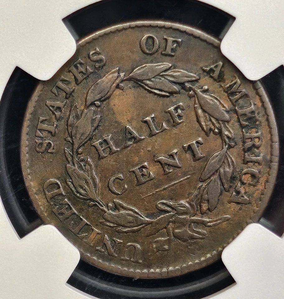 1826 Classic Head 1/2C- Graded NGC VF-25 BN "Rotated Reverse & Attractive Color" - Image 2 of 4