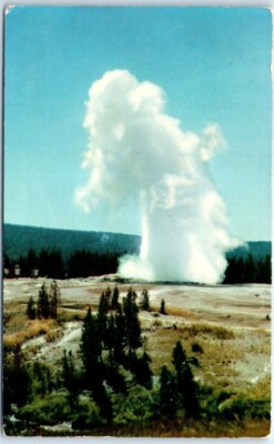 #ad Postcard Old Faithful Geyser Yellowstone Park Wyoming $4.95