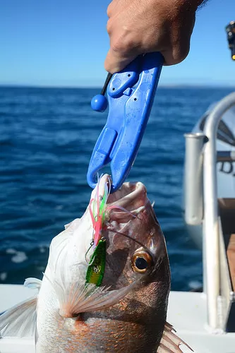 The Original "FISH GRIP" - Junior GREEN - (Item: FG01-3780-G-JR) - Picture 4 of 9