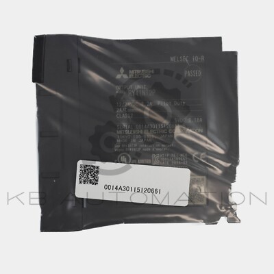 Mitsubishi RY41NT2P Melsec IQ-R Series 32-point transistor (sink