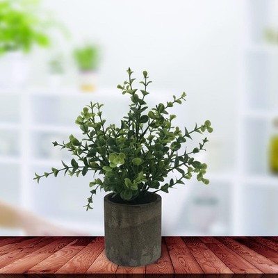 Künstliche Topfpflanzen Faux Eukalyptus Grün in Töpfe Kleine Houseplants für