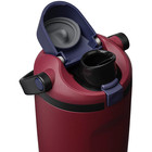 Owala FreeSip Sway Owalalife Stainless Steel Bottle 40oz Colour Burgundy Bay — photo 2