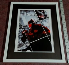 James Jean DC Comics Poster Portfolio original comic book cover art 16x20" frame