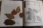 Picture 9 of 10
