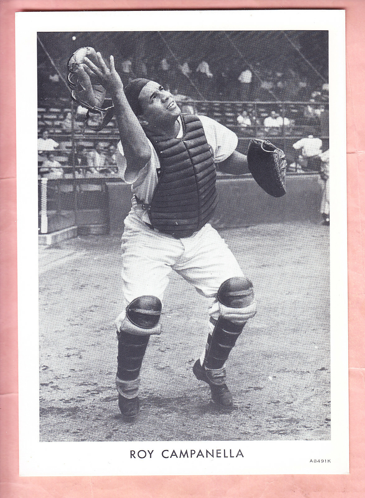 1951  WHEATIES  5 X 7   PREMIUM   ROY CAMPANELLA   BROOKLYN   NM
