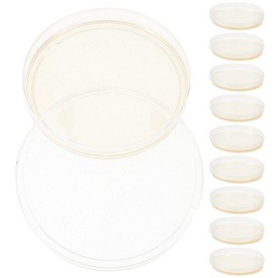  10 Pcs Petrischale Agar Platten Wissenschaftliches Experimentierset