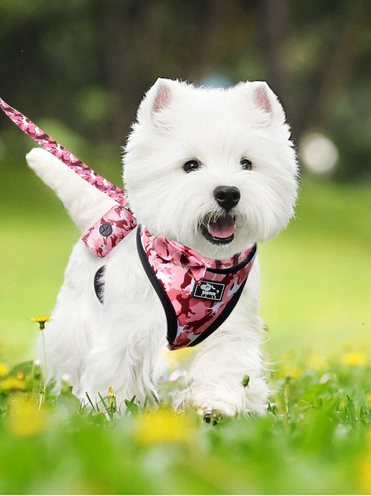 Dog Harness and Leash Set for Small Dogs, Adjustable Reflective No Pull Dog V...