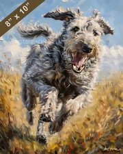 Irish Wolfhound running with a big smile painting 8x10 Print