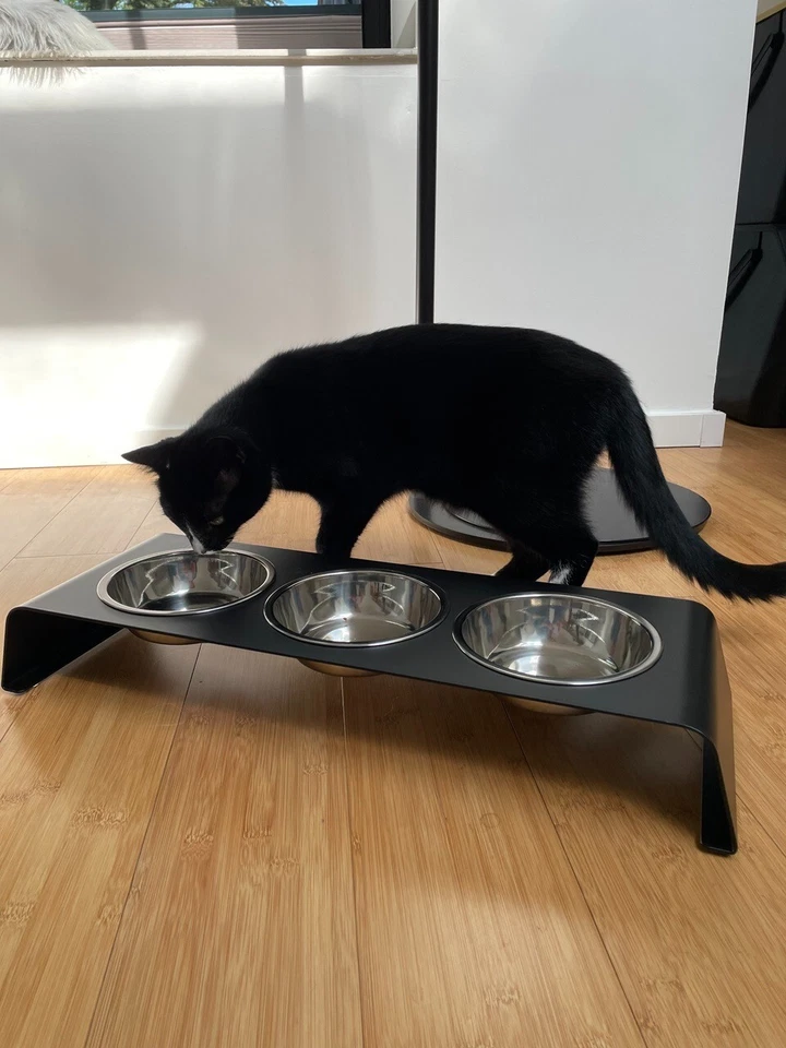 FUTTERSTATION Futter Ständer 3 SET Napf Näpfe Fressnapf EDELSTAHL🍀Schwarz Weiß - Bild 4 von 4