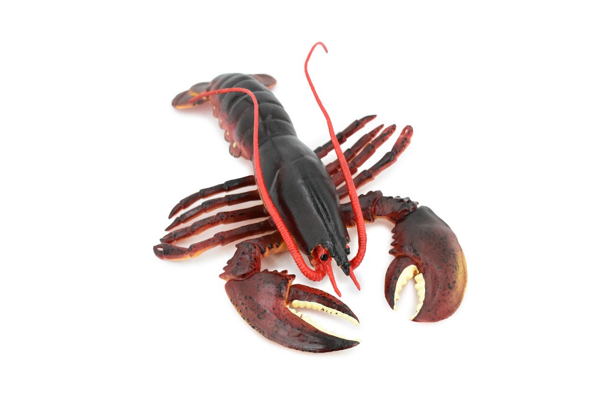 Boston Lobster, Realistic Toy Figure, Model, Replica, Educational
