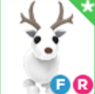 Adopt A pet from Me - Arctic Reindeer