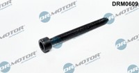 Dr.Motor Automotive DRM0609 Schraube EinspritzdüSenhalter FüR Audi Ford Seat