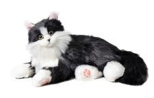 Interactive Robot Cat Plush Toy with Voice, Heartbeat, and Purring Features