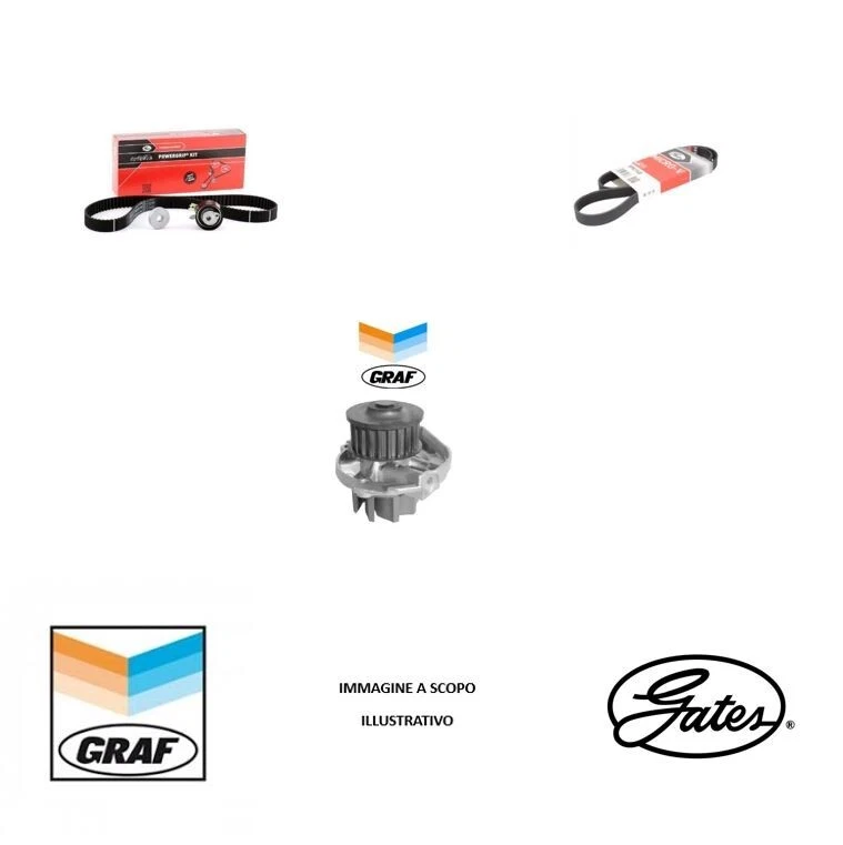 KIT DISTRIBUZIONE + POMPA ACQUA CINGHIA SERVIZI FIAT PANDA 500 PUNTO EVO 1.2 1.4