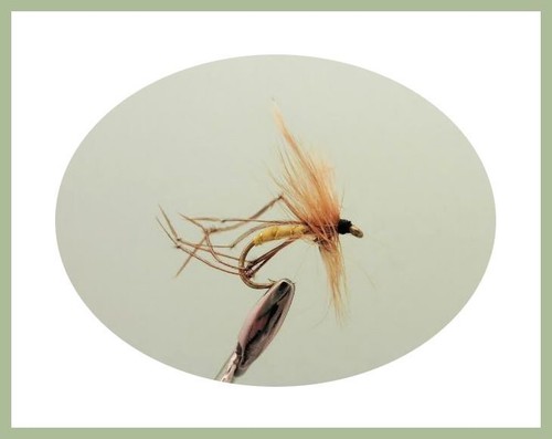 Boxed Daddy & Hoppers Trout Flies ,40 Per Box, Mixed Sizes, Fly Fishing - Picture 7 of 12