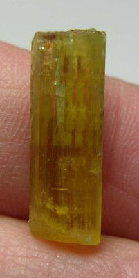 Natural 6.30ct Cambodian Beryl Heliodor Crystal Stick Specimen 1.25g 19.00mm