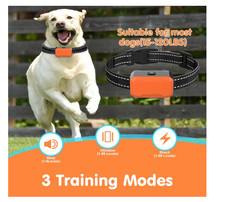 2 in 1 Wireless Dog Fence  Training Collar