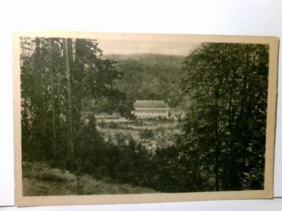 Eisenberg. Thüringen. Waldhaus Amtsschreibersmühle. Bes. Gustav Kühne. Alte Ansi