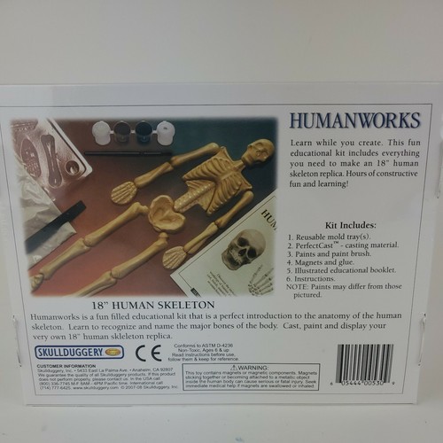 Eyewitness Kit Humanworks - 18" Human Skeleton. Mold, paint and create - Picture 2 of 4
