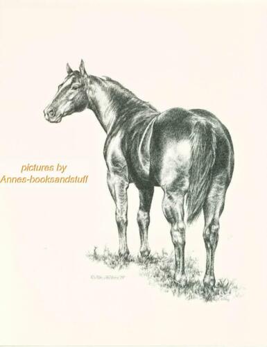 #214 QUARTER HORSE stampa artistica vista posteriore * disegno a penna e inchiostro di Jan Jellins - Foto 1 di 1
