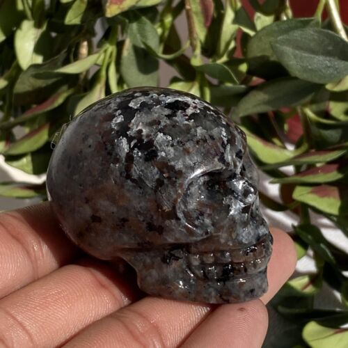 1pc Natural Yooperite Quartz Carved Crystal Skull Reiki Healing 2" - Picture 2 of 11