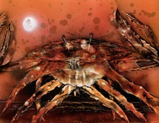 Original Art Painting of a Crab in Orange to Brown color signed by Jason Girard.