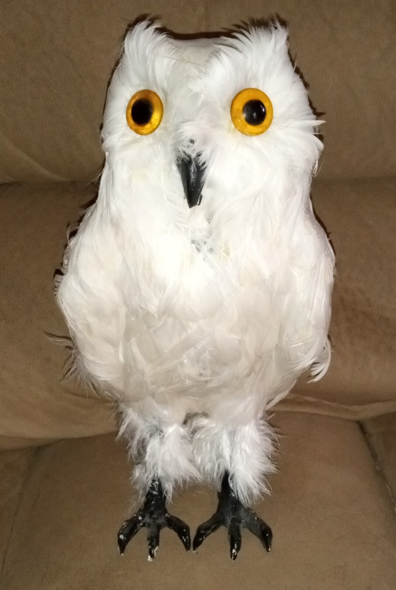 Realistic Owl Feathers Figurine Real Lifelike Decor Feathered Bird Replica